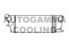 AUTOGAMMA 105190 Intercooler, charger